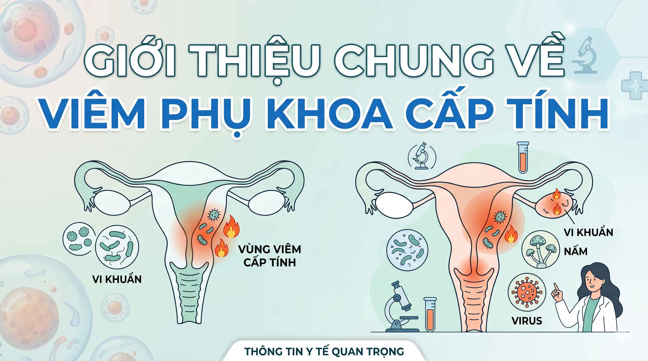 Nguyên Nhân Viêm Phụ Khoa Tái Phát: Phân Tích Chi Tiết